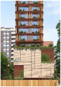 Wild Teasel Elevation 1