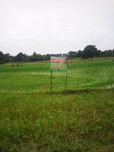 Project Image of 1440.0 - 3600.0 Sq.ft Residential Plot Plot for buy in Greenview Amrita Village