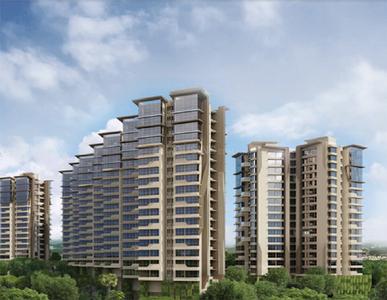 Gurukrupa Rain Forest Elevation 1