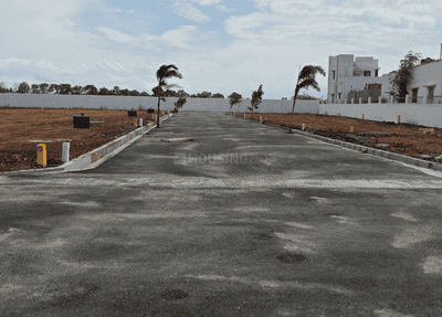 Project Images