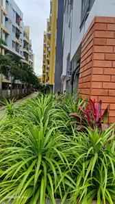 Project Image of 1075.0 - 1765.0 Sq.ft 2 BHK Apartment for buy in Fortuna Blue Wings