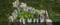 Paranjape Blue Ridge Project E Land T24 And T25 Elevation 2