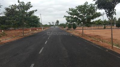 Sizzle Okawood Plot 1