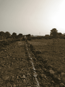Project Images