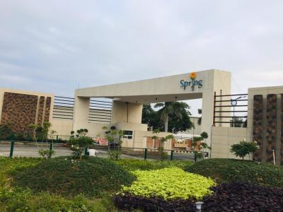 Spring Grand Plot 1
