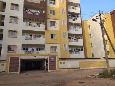 DS Max Streak Images for Project 1