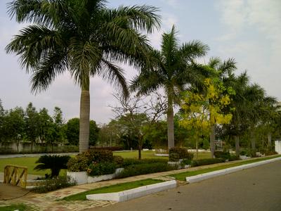 Project Image of 1100.0 - 1219.0 Sq.ft 2 BHK Apartment for buy in Vizag Green City Homes Blocks A3 B3 & C1