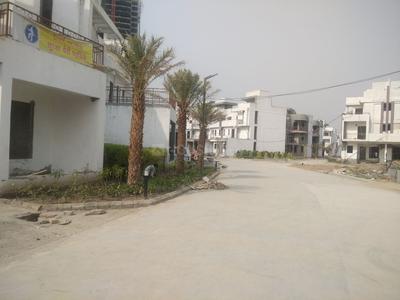 Project Image of 515.0 - 1295.0 Sq.ft 1 BHK Apartment for buy in Ajnara Panorama