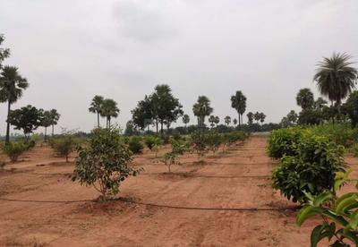 Project Image of 1800.0 - 3600.0 Sq.ft Residential Plot Plot for buy in USM My City Go Ranch
