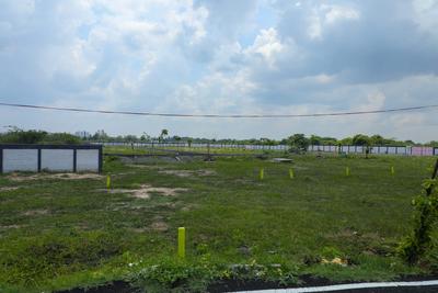 Project Image of 422.0 - 1545.0 Sq.ft Residential Plot Plot for buy in Krithika City