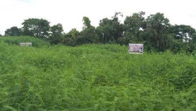 Project Image of 1440.0 - 3600.0 Sq.ft Residential Plot Plot for buy in Greenview Amrita Village