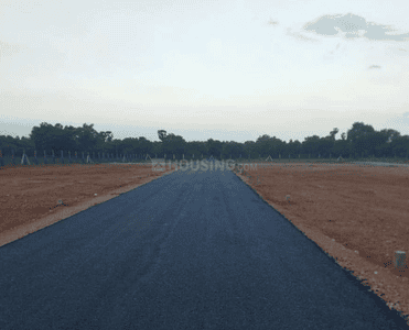 Project Images