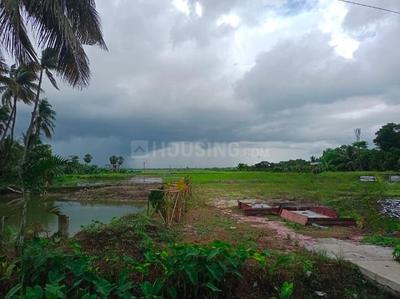 Project Image of 0.0 - 720.0 Sq.ft Residential Plot Plot for buy in Locus Flora City