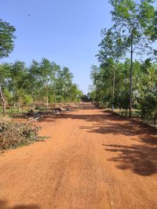 Project Image of 1125.0 - 3960.0 Sq.ft Residential Plot Plot for buy in Sivarama Saptavarna Sandalwood Villa Ploting
