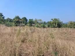 Project Image of 1000.0 - 3000.0 Sq.ft Residential Plot Plot for buy in Bhoomi Plots In Jambhulpada