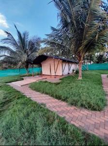 Project Image of 1200.0 - 4000.0 Sq.ft Residential Plot Plot for buy in Lone Star Tuscany