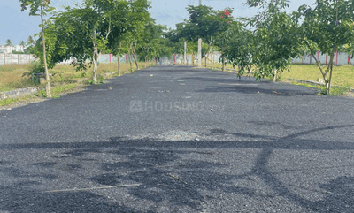 Project Images