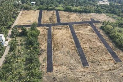 Project Image of 732.0 - 1692.0 Sq.ft Residential Plot Plot for buy in Amberland Vismaya