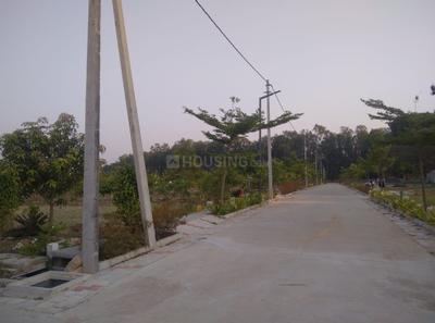 Project Image of 1662.0 - 6137.5 Sq.ft Residential Plot Plot for buy in The Urban Forest