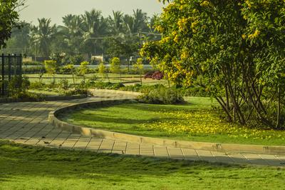 Project Image of 600.0 - 3000.0 Sq.ft Residential Plot Plot for buy in KNS Anirvan