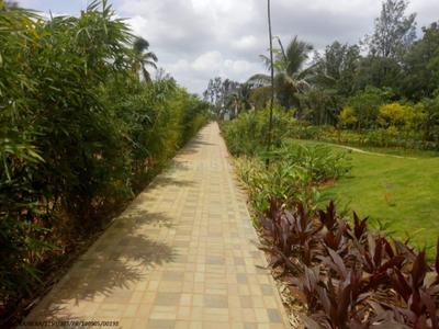 Project Image of 1200.0 - 2400.0 Sq.ft Residential Plot Plot for buy in Century Greens Phase 2