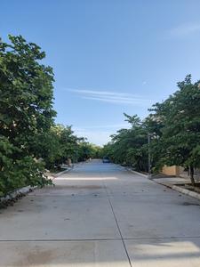 Project Image of 2462.0 - 2494.0 Sq.ft 3 BHK Villa for buy in Blue Lotus Villas
