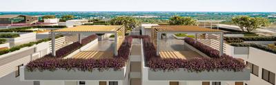 Project Image of 1175.0 - 2405.0 Sq.ft 2 BHK Apartment for buy in Anmol Terrasa