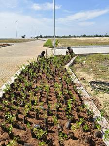 Project Image of 1189.0 - 7879.0 Sq.ft Residential Plot Plot for buy in La Mer Vie