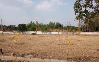 Project Images