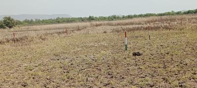 Plot Wale Vindhane Plot 2