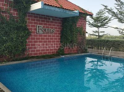 Ferns Gardenia Images for Project 1