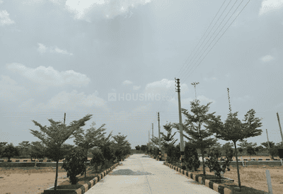 Project Image of 1388.54 - 5661.82 Sq.ft Residential Plot Plot for buy in Royal Rise County
