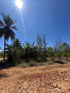 Project Image of 6000.0 - 12000.0 Sq.ft Residential Plot Plot for buy in Navile Farms 