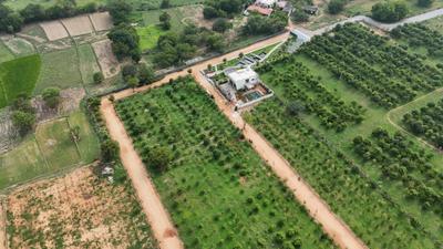Project Image of 0.0 - 5445.0 Sq.ft Residential Plot Plot for buy in Tado Chandanam