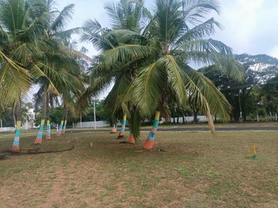 Project Image of 1100.0 - 2300.0 Sq.ft Residential Plot Plot for buy in CCP Signature City