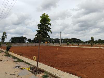 Project Image of 1000.0 - 1600.0 Sq.ft Residential Plot Plot for buy in Sana Royal Heaven