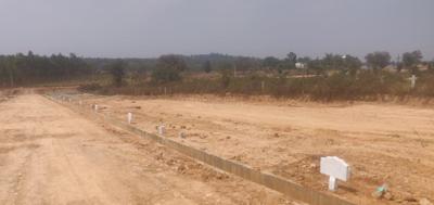 Project Image of 1200.0 - 1450.0 Sq.ft Residential Plot Plot for buy in Parichaya Quality Infra