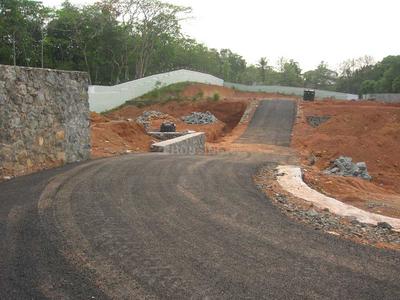 Project Image of 1742.0 - 10018.0 Sq.ft Residential Plot Plot for buy in Jewel Bloomingdale