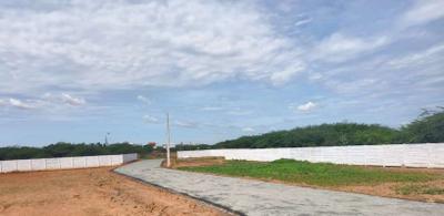 Project Images