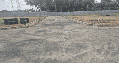 Project Images