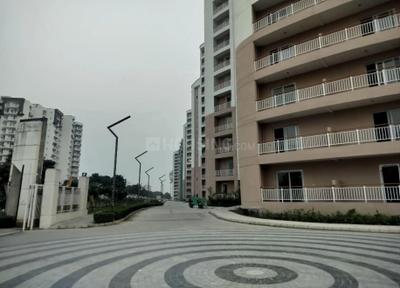 Project Images