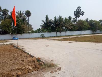 Project Image of 660.0 - 1950.0 Sq.ft Residential Plot Plot for buy in Sri Sai Vriksham Garden Phase I