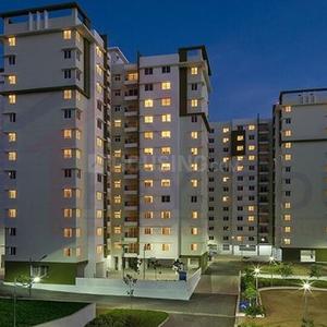 Project Image of 559.96 - 629.75 Sq.ft 2 BHK Apartment for buy in GLS Avenue 81 Phase 1