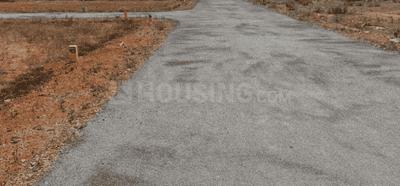 Project Images
