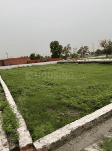 Project Image of 450.0 - 1800.0 Sq.ft Residential Plot Plot for buy in Del NCR Aero City