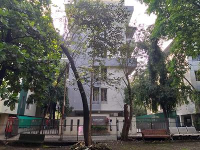 Project Image of 0.0 - 1379.0 Sq.ft 3 BHK Apartment for buy in Pate Century