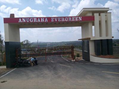 Project Image of 1200.0 - 3000.0 Sq.ft Residential Plot Plot for buy in Anugraha Evergreen Villa Plots