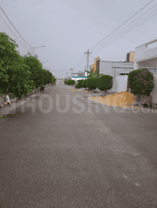 Project Images