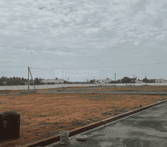Project Images