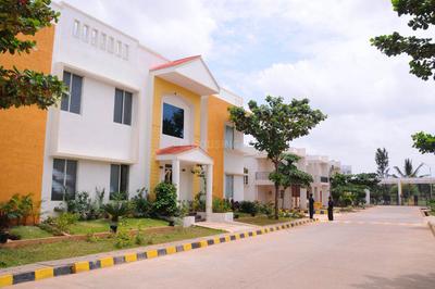 Peninsula Passiflora Elevation 1